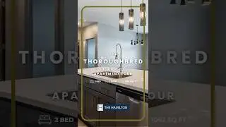 Thoroughbred Ext Apartment Tour | The Hamilton