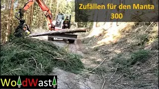 Astiges Holz f&uuml;r den Baggerprozessor Manta 300