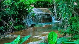 Relaxing Music For Stress Relief, Anxiety and Depressive States🌲 Heal Mind, Body and Soul Calm 14