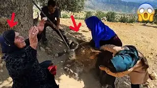 A terrifying and shocking incident at the Doora farm