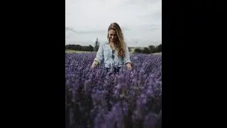 Lightroom Newbie - Moody Lavender Field Portrait