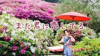 【二胡とピアノ】また君に恋してる ビリーバンバン 坂本冬美  【にこまる】