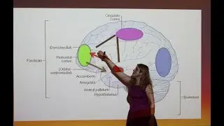 [Science Week 2018] How can cognitive neuroscience build resilience in breast cancer patients?