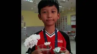 Experiment about flowers drinks water by grade 3 students 