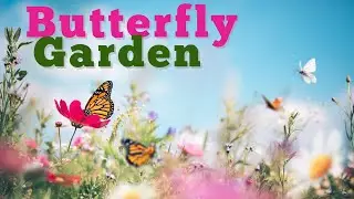 Creating a Butterfly-Friendly Garden