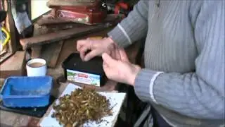 Tea, marigolds and compost
