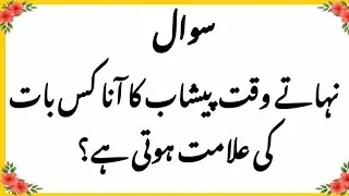 Islamic Question and Answer in Urdu | Islami Sawal Jawab | Urdu Quiz 2025 | Bm Urdu Quiz