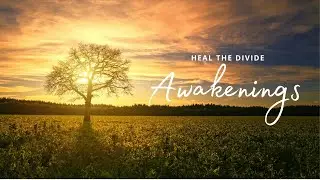 Nature Begins to Heal Itself | Awakenings