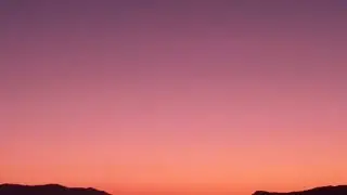 Bad Bunny - Callaita (Letra/Lyrics) 🍀Letra de v&iacute;deo