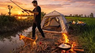 Camping and fishing alone with my dog in a wild stream
