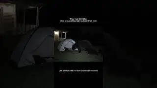 TERRIFYING: Bear & Cubs Investigate Tent with Person Sleeping Inside!