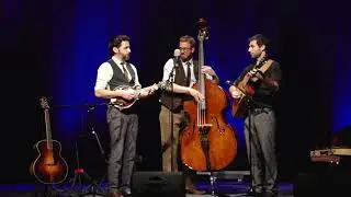 Andrew Collins Trio - Showcase 1