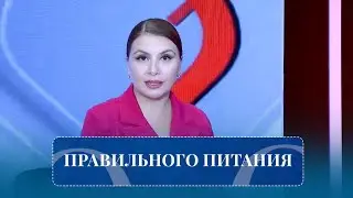Правильного питания I Актуально: студия (03.11.2025)