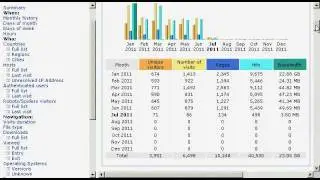Nicheprof's Online Tutorial Series -  Checking AWStats cPanel