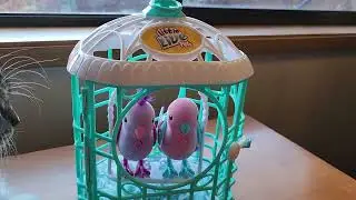 Little live pets are so cute, even my cat thinks they are real. lol
