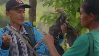West Timor | Farmers Groups