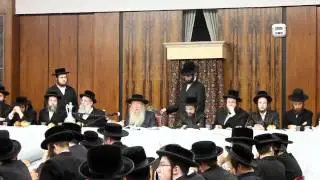 Peisech Sheiny Tish in Nikolsburg
