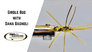 Girdle Bug Dana Bagnoli final
