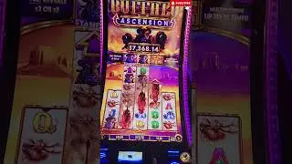 Amazing Buffalo Ascension Super Stampede Bonus! #slots #gambling #casino