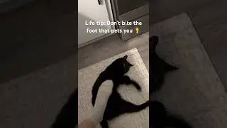 Don&rsquo;t Bite the Foot 🦶