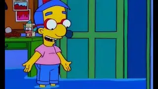 The Simpsons 