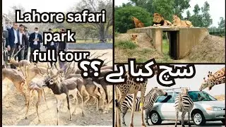 Zoo safari park Lahore - Lion safari experience Sach kya ha - Lahore wildlife park