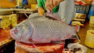 River super fresh big catla fish cutting all famous fish cutting 8￼ kilo🦈￼