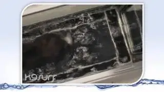 Underwater Treadmill for Dogs from K9Surf
