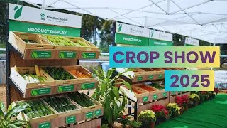 Inside the Namdhari Seeds Crop Show | A Glimpse of Our Latest Vegetable Hybrids