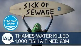 Thames Water Fined &pound;3 Million for Sewage Dumping Scandal And 1,000 Fish Deaths
