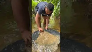 MENDULANG EMAS DI SUNGAI | GOLD PANNING #shorts #shortvideo