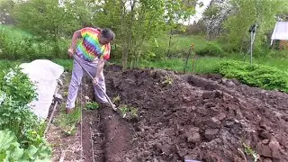 STAVÍME SKLENÍK 1 - Upravujeme terén, kácíme strom a kopeme základy