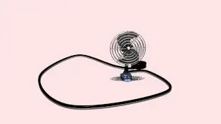 Fan Dance