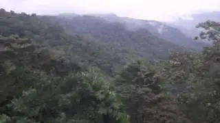 Pluma Hidalgo aqui tambi&eacute;n hace viento.