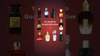 Best Men's Fragrance Collection Of All Time | 2025 Men's Perfume Guide #shorts #perfume #fragrance