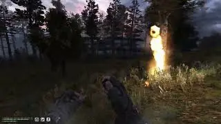 [Stalker Anomaly] Dark signal gameplay 20: Darkscape is full of unruly beasts