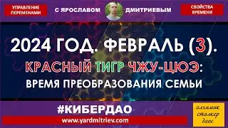 2024 год. Февраль. Красный Тигр Чжу-Цюэ. Преобразование семьи (Шаг 3, Дмитриев Я.)