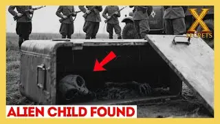Alien-Human Experiments - Scientists PANIC