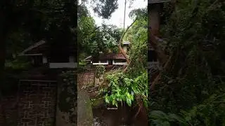 Nostalgic Memories🍃Monsoon Vibes In Kerala Village #palakkad #keraleeyar #nostalgickerala
