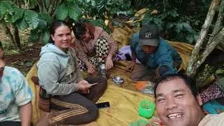 Một ngày khởi đầu đi hái khoán cape 