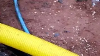 Laying Service Ducts