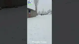 Phander Right Now 1st March 2024 08:50 #trending #viral #snow @phandertodaymedianetwork