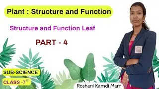 Plant : Structure and Function | Science | Class 7th | Sanskar Academy |