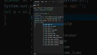 Java Program Eligible For Vote OR Not User Input For Visual Studio Code (VS Code) 