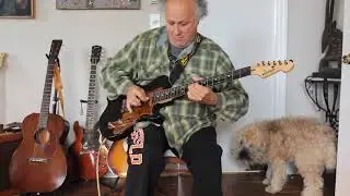 ARLEN ROTH Delaney Guitar Signature Model!