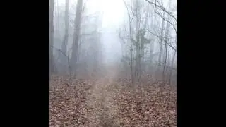 Video from The Appalachian Trail Thru Hike NorthBound- Day 3. 2017