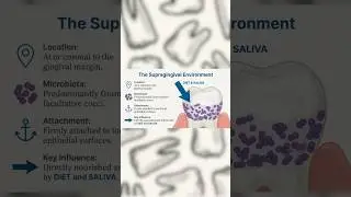 SUPRAGINGIVAL AND SUBGINGIVAL PLAQUE #DentalEducation #OralHealth #PlaqueControl #Periodontology