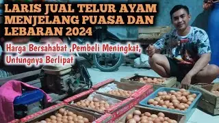 TIDAK PERLU PERANG HARGA‼️ //CARA MENENTUKAN HARGA JUAL TELUR AYAM MENJELANG PUASA DAN LEBARAN 2024