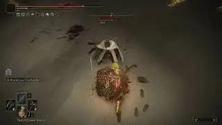 Needle Knight Leda, Dryleaf Dane, and Hornsent Boss Fight - ELDEN RING: SHADOW OF THE ERDTREE