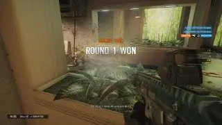 Unicorn Ace
